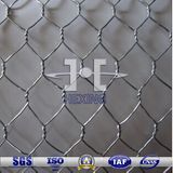 Galvanized Chicken Wire Mesh/Hexagonal Wire Netting