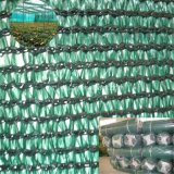 80GSM HDPE Greenhouse Shade Net in Green