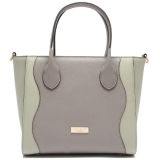 New Designer Handbag Lady Satchel Handbag Leather Product (CSPB882-001)