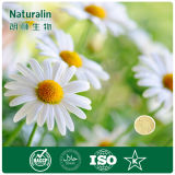 Organic Instant Chrysanthemum Tea Powder for Beverage and Drinkds
