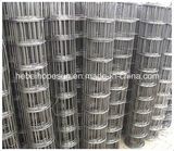 Galvanized Wire Welded Wire Mesh