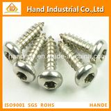 Stainless Steel 304/316 Torx Pan Head Security Fasteners Tapping Screws