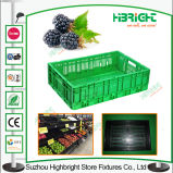 Plastic Harvesting Crate Plastic Fruit Bins Fruit Crate