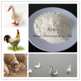 Feed Additives Allicin Garlicin 25% Powder for Animals