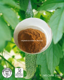 Bitter Melon Extract Charantin, Saponins 10% by UV