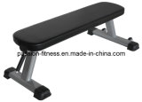 Gym Equipment Flat Bench Pgg201 with SGS
