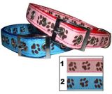 Fashion Pet Products, Dog Collar (JCC-439)