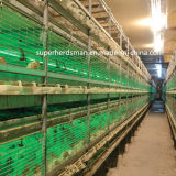 Good Quality Poultry Cage Feeding Equipment