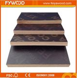 Matte Film Faced Plywood
