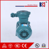 Explosion-Proof Electric Motor for Winch
