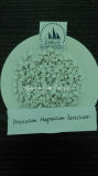 Potassium Magnesium Fertilizer