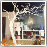 Home Decor Artificial White Dry Tree Made of Fiberglass (WT12)
