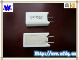 Rgg Wirewound Resistor for PCB (RX27-5)
