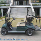 Supply 2 Person Electric Car Lt-A2