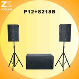 P12+S218B Pro Audio