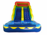 2014 Hot Inflatable Water Slide, Inflatable Slide