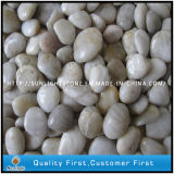 Polished Natural White Pebble Stone for Garden Decoration
