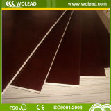 Professional Supplier of Film Faced Plywood (w15484)