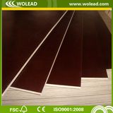 Professional Supplier of Film Faced Plywood (w15484)