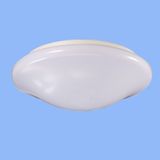 CE Approved LED PIR Sensing LED Ceiling Light (Hz-GYXD15WA)