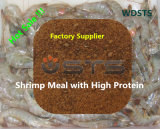 Best Quanlity Shrimp Meal for Animal Feed (Feed Additive)