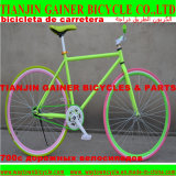 Tianjin Gainer 700c Road Bicycle with Fixed Gear