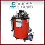 Small Diesel Steam Boiler
