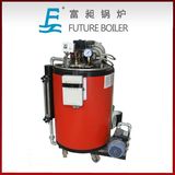 Small Diesel Steam Boiler