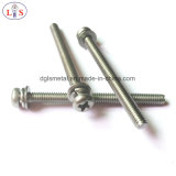 Fastener/Ss304 Bolt /Round Head Bolt with High Quality
