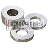 Rare Earth Ring Permanent Magnet
