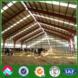 Prefab Steel Structure Agriculture Building