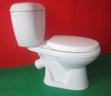 Washdown Close Coupled P-Trap Toilet