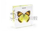 Benji Top Insert Amber and Butterfly Specimen for Educationb