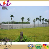 China Factory Hengxiang Brand Agriculture Anti Insect Net