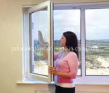 Double Insulated Windows