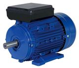 Single Phase Electric Motor