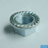 Flange Nut (DIN6923)