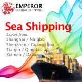 Sea Shipping From China to Worldwide Destinations