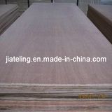 Best-Selling Keruing Plywood, Bintangor Plywood