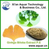Manufacturer Pure Natural High Quality Ginkgo Biloba Extract / Ginkgo Biloba Extract Powder / Ginkgo Biloba