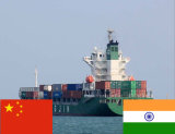 LCL Ocean Shipping Service From Shanghai China to Nhava Sheva, Chennai, Bombay, Cochin, Madras, Calcutta, India