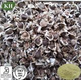 Cosmetic Ingredients Moringa Seed Extract /Moringa Seed P. E.