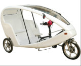 New Design Electric Tricycle for Passenger with Padel (JBDCQ500DQZK)