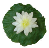 PU Lotus Flower (WL-0106S)