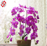 Artificial Faux DIY Bonsai PU Silk Real Touch Furnishing Butterfly Orchid