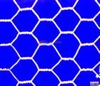 Hexagonal Wire Netting