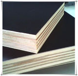 Hardwood Film Faced Plywood