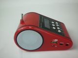 Multi Card Reader Speaker (DS-WS-2012RC)