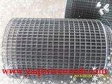 Welded Wire Mesh Factory Supplies Wholesale Sales in Competitive Price