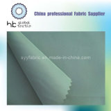 300t Polyester Pongee Fabric for Garment (GT-DSF-063)